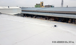Reconstruction of the roof of a canning plant in Poland with PLASTFOIL®
